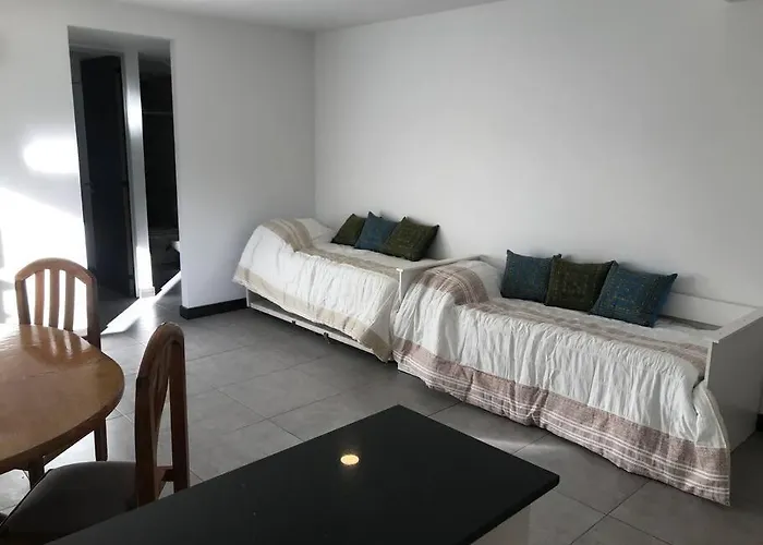 Depto Nuevo Con Cochera Y Patio En Mendoza
